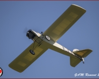 TSR Watermark - 0369